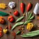 heirloom seeds for preppers