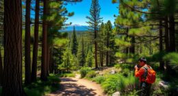 backcountry navigation safety tips