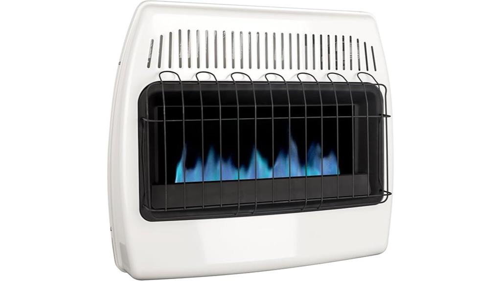 30 000 btu propane wall heater