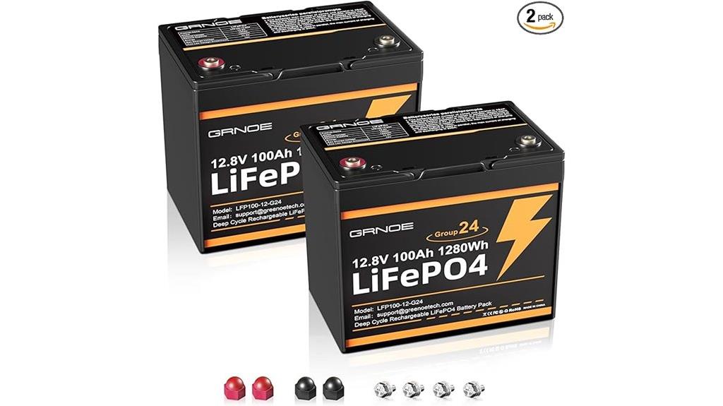 dual 12v 100ah batteries