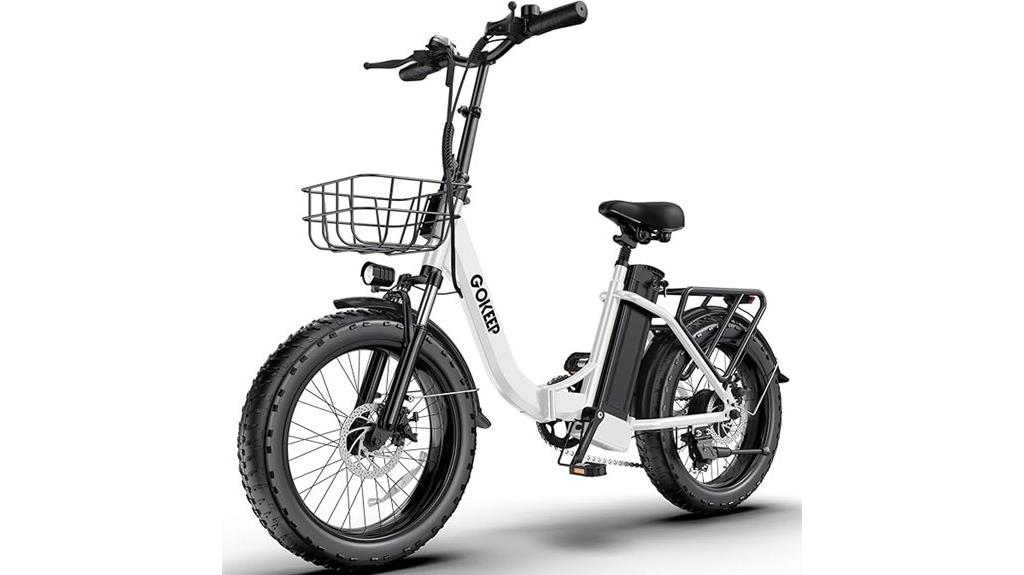 fat tire electric bike