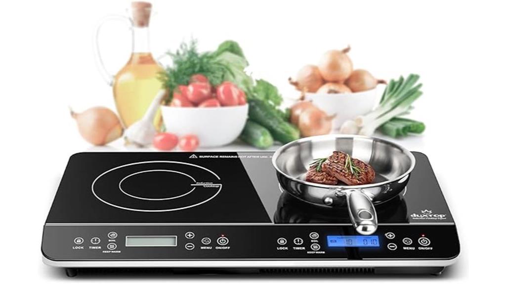 portable dual induction cooker