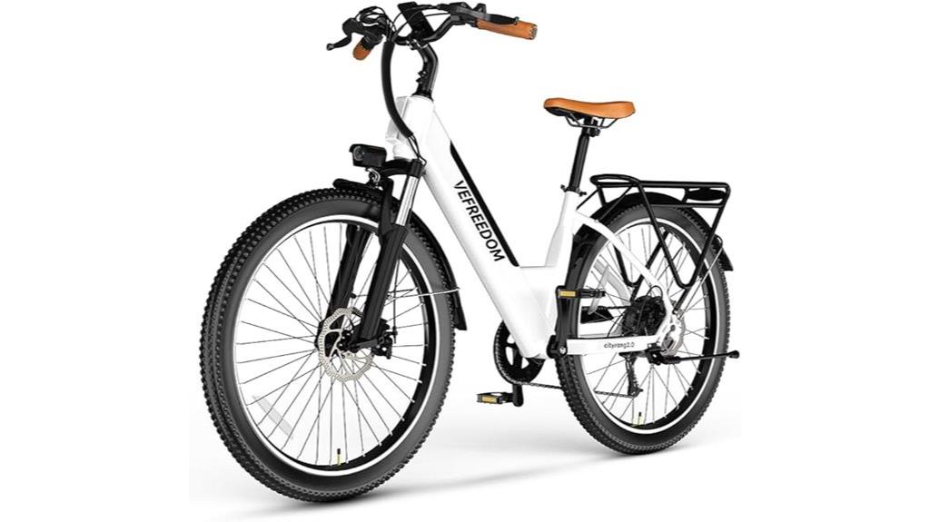 powerful adult electric bike