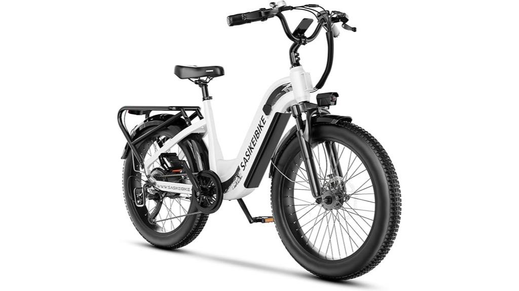 powerful electric bike