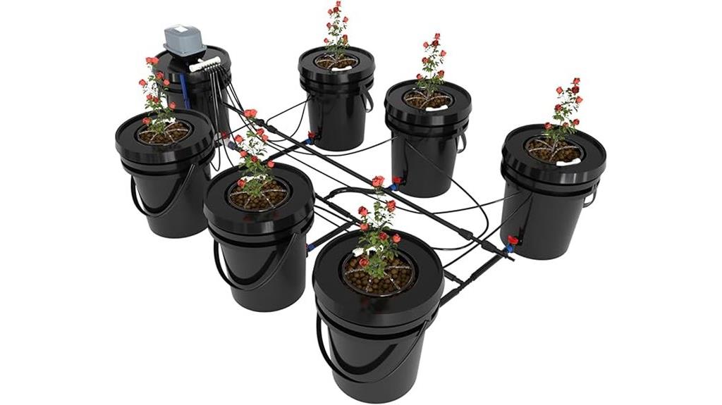 six bucket hydroponic system