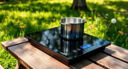 top portable induction cooktops