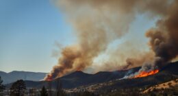 california camp fire risks