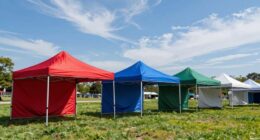 top wind resistant canopies