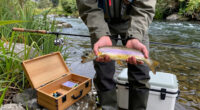 Brown Trout Are British Imports. These Are the 4 Native Trout You Should Chase to Celebrate America’s 250th