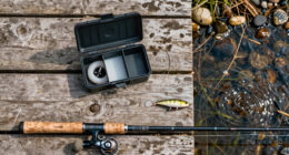 How to Catch Smallmouth Bass in Rivers
