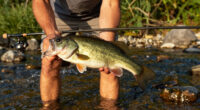 Decades Ago, These Driftless Area Streams Were Smallmouth Bass Goldmines