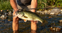 Decades Ago, These Driftless Area Streams Were Smallmouth Bass Goldmines