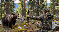 It Took Me 10 Years To Tag A Bear With My Bow, But It Was Well Worth The Wait