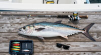 ‘We’ll Never Replicate It.’ Charter Boat Anglers Land Three Record Fish During One Epic Trip