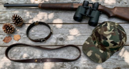 The 4 Most Underrated Hunting Dog Breeds