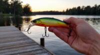 The Best Swimbaits For Catching Bass