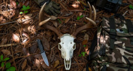 ‘A Buck Like This One Is Special.’ Bowhunter’s 17-Point Florida Deer Is Actually A Giant