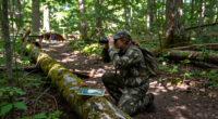 How Long Do Whitetail Deer Live?