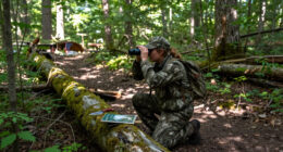 How Long Do Whitetail Deer Live?