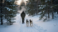 An Old-School Snowshoe Hare Hunt With Hounds Is The Most Underrated Winter Adventure