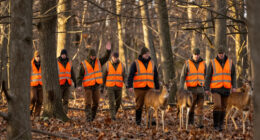 Ditch The Treestand And Run A Deer Drive The Traditional Way
