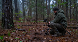 Should You Hunt A Buck’s Bedding Area, Or Is It Too Risky?