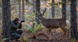 The 9 Ways That Mature Bucks Are Different Than Other Deer