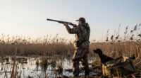 The Top 5 Reasons You Suck At Shooting Ducks And Doves